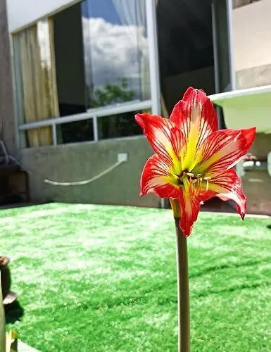 Qori Garden Apartment